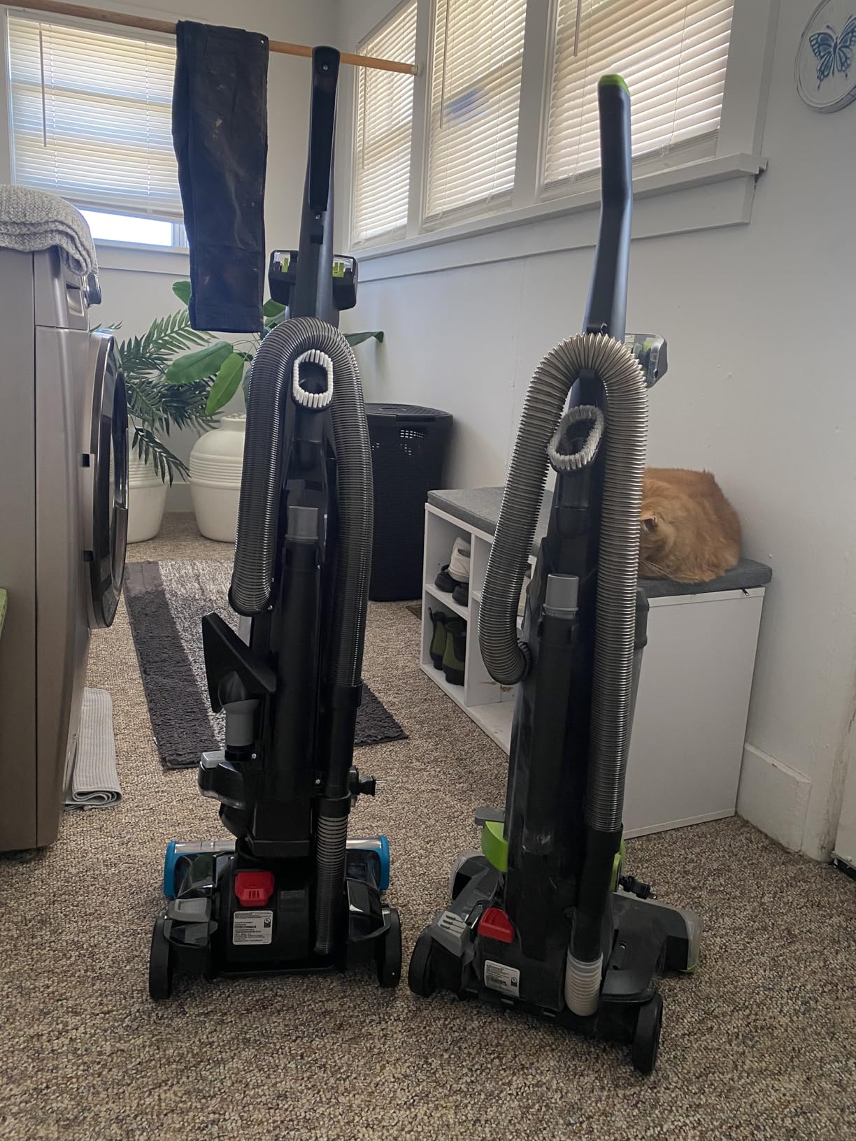 BISSELL 2254 CleanView Swivel Rewind Pet Upright Bagless Vacuum, Automatic Cord Rewind, Swivel Steering, Powerful Pet Hair Pickup, Specialized Pet Tools, Large Capacity Dirt Tank, Teal customer photo 1