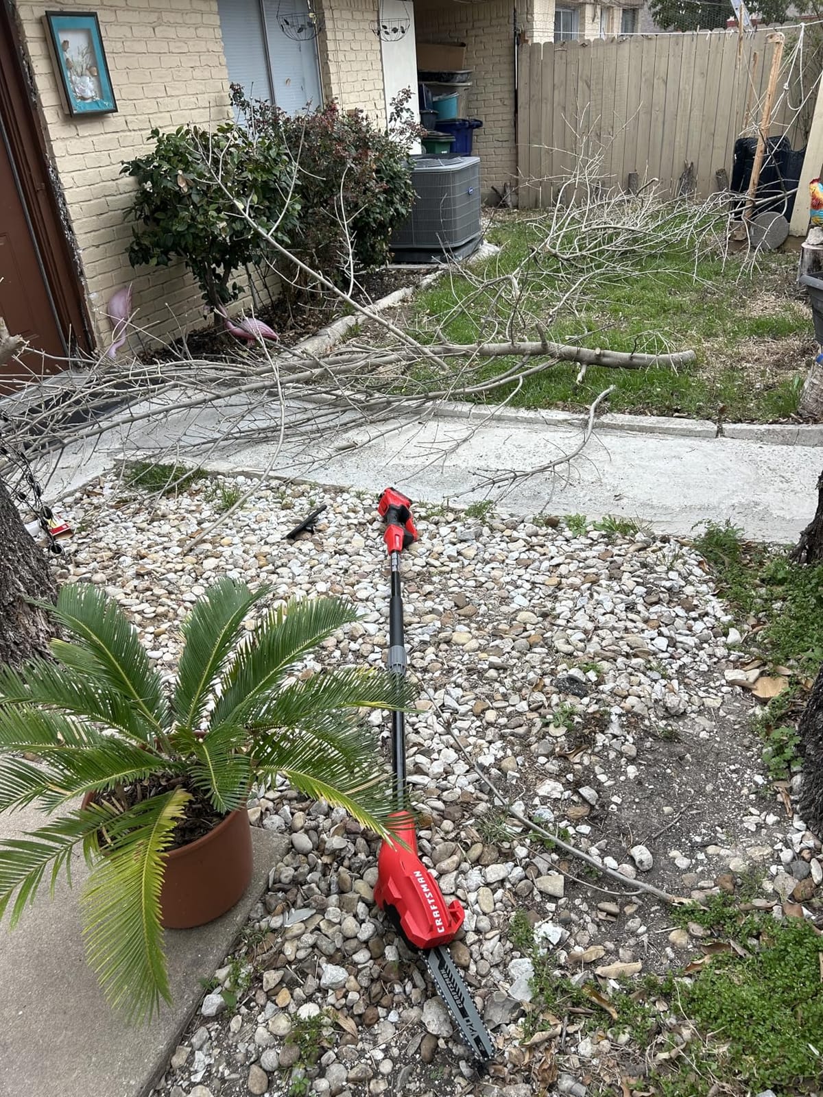 CRAFTSMAN V20 Cordless Pole Saw, 14-Foot, Battery and Charger Included, Pole Saws for Tree Trimming, Up to 325 Cuts per Charge, 4.0Ah, Electric Tree Trimmer (CMCCSP20M1) customer photo 2