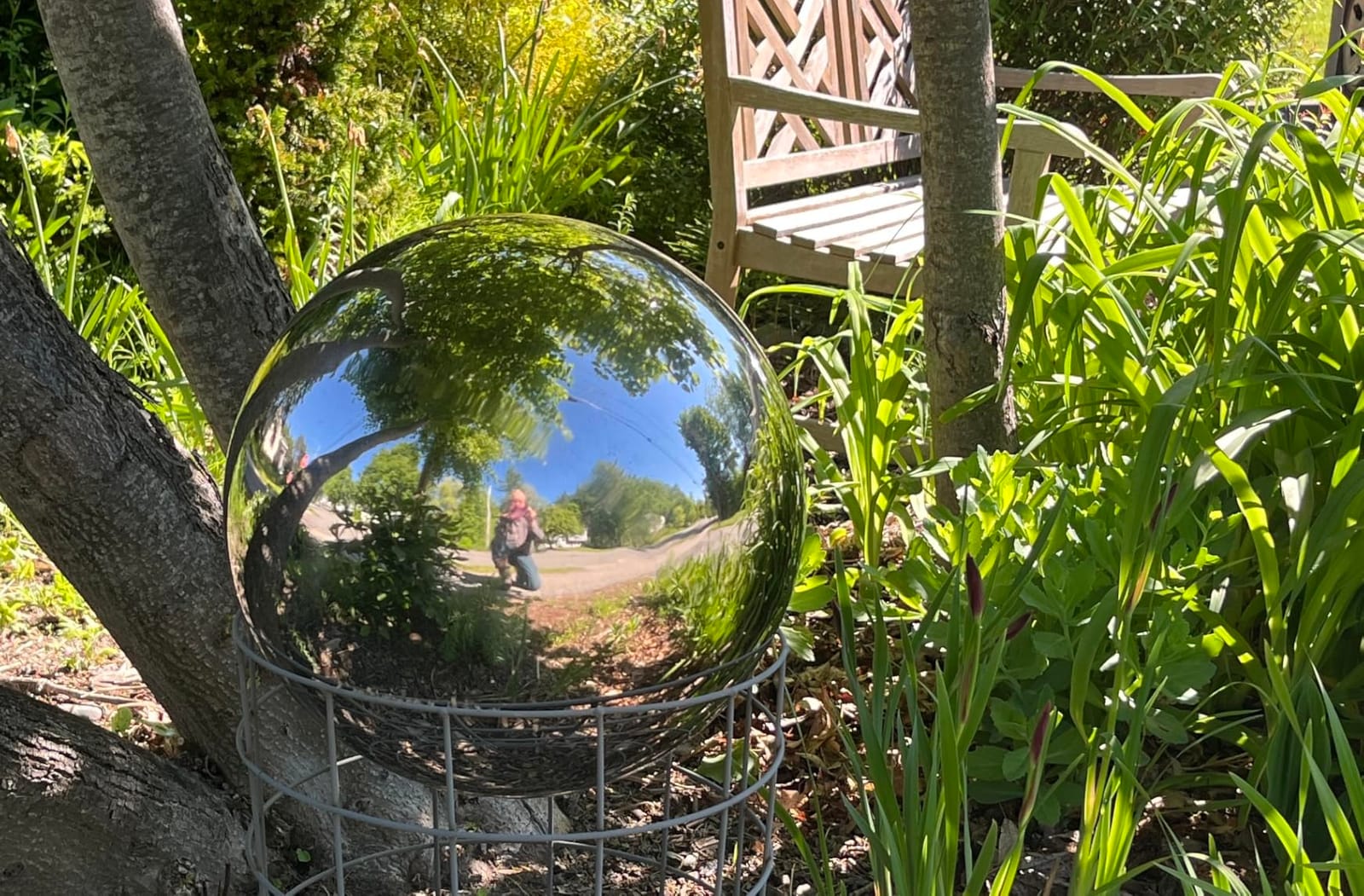 30 cm/12 inch Diameter Gazing Globe Mirror Ball,Silver Stainless Steel Polished Reflective Smooth Garden Sphere,Colorful and Shiny Addition to Any Garden or Home customer photo 1