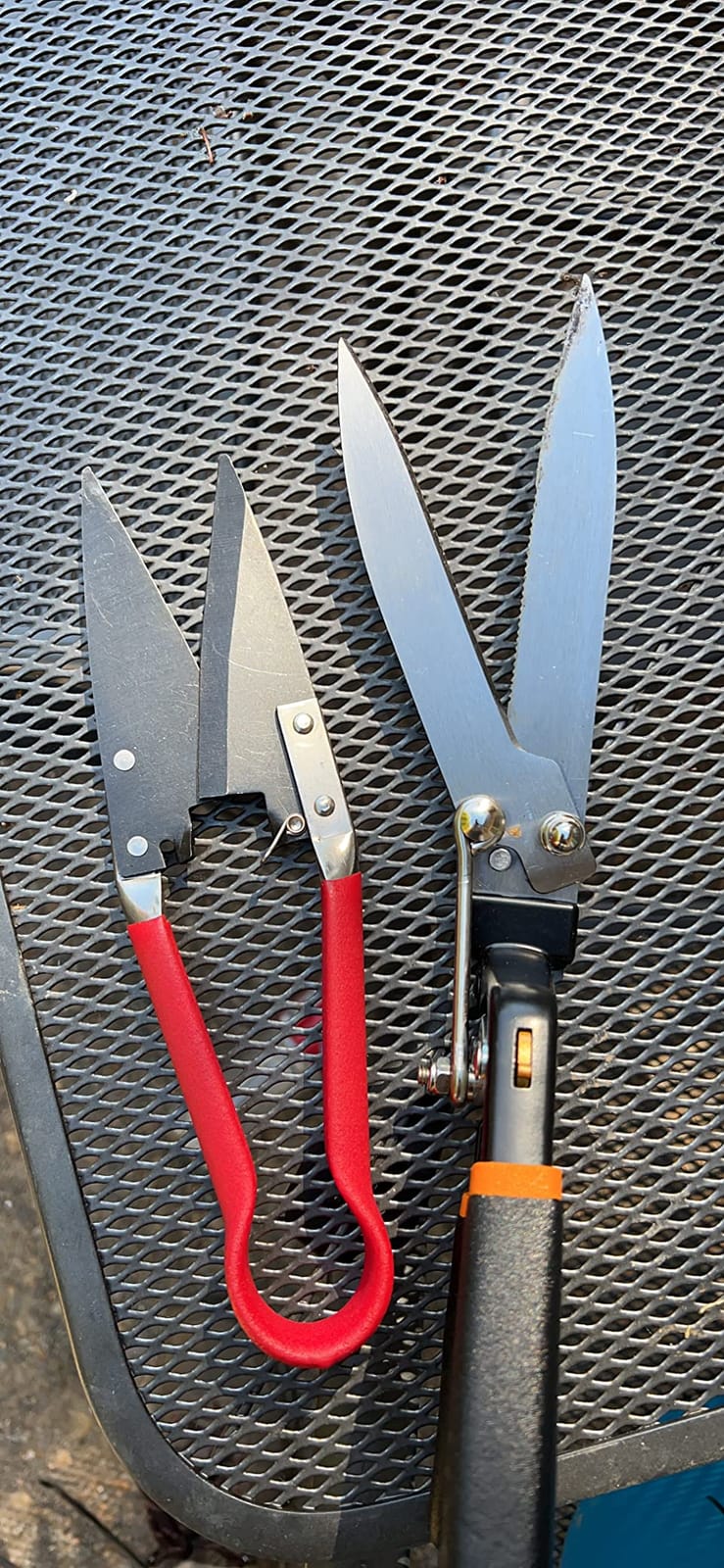 Spear & Jackson Razorsharp Compact Topiary Shears for Garden Topiary and Bonsai Care, Ergonomic Lightweight Precision Pruning Shears customer photo 1