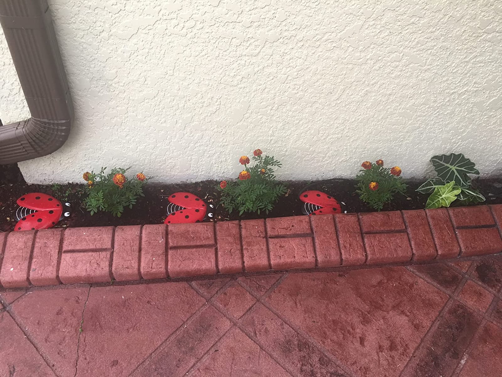 Ladybug Stepping Stones for Gardens and Outdoor Flower Beds - Set of 3 customer photo 2