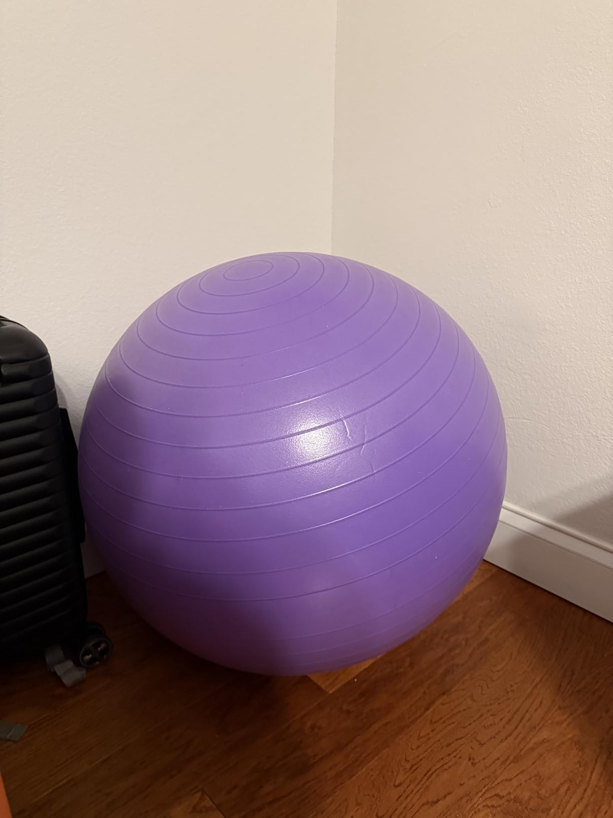 Core Balance Exercise Ball, Stability Ball for Yoga, Pilates and Fitness, Gym Ball for Home Gym and Office Chair, Training, Physical Therapy, Anti Burst, Pump Included, 55cm 65cm 75cm 85cm customer photo 2