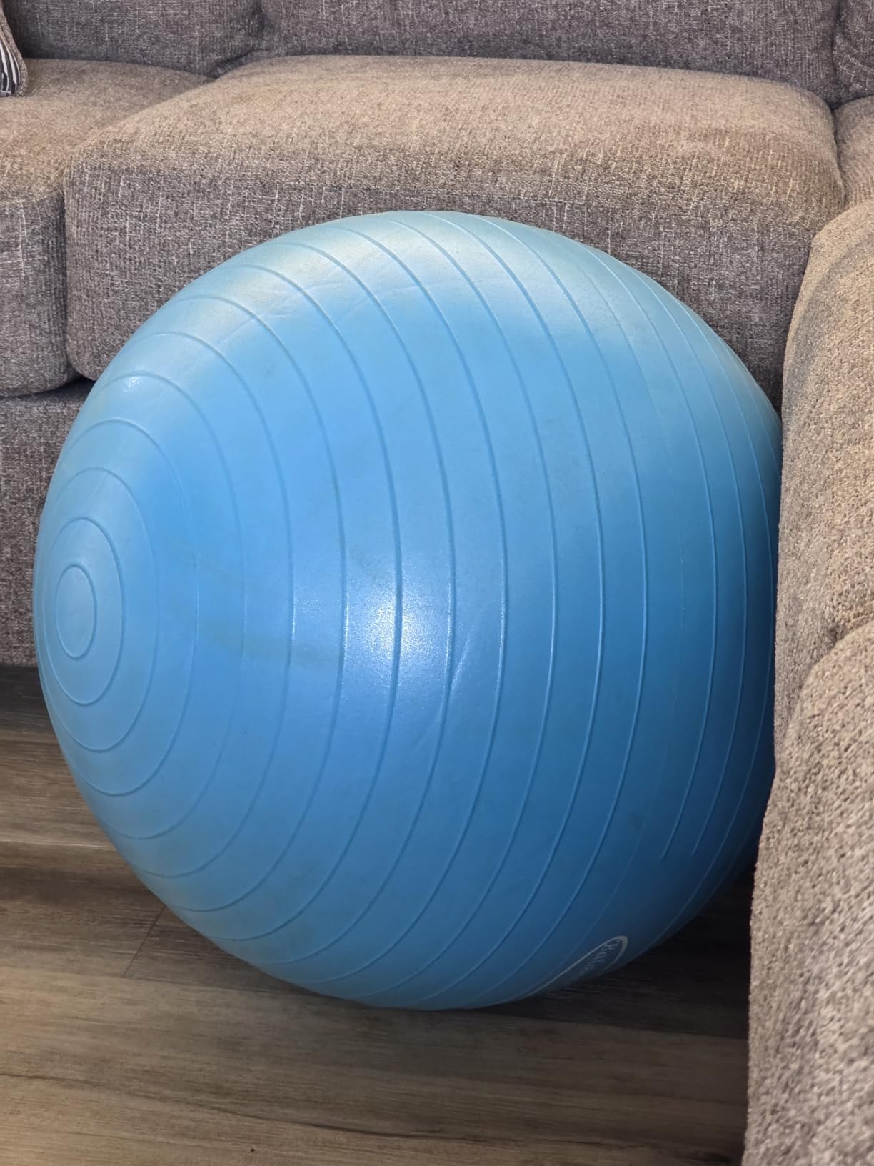 Fitvids Anti-Burst and Slip Resistant Exercise Ball Yoga Ball Fitness Ball Birthing Ball with Quick Pump customer photo 1