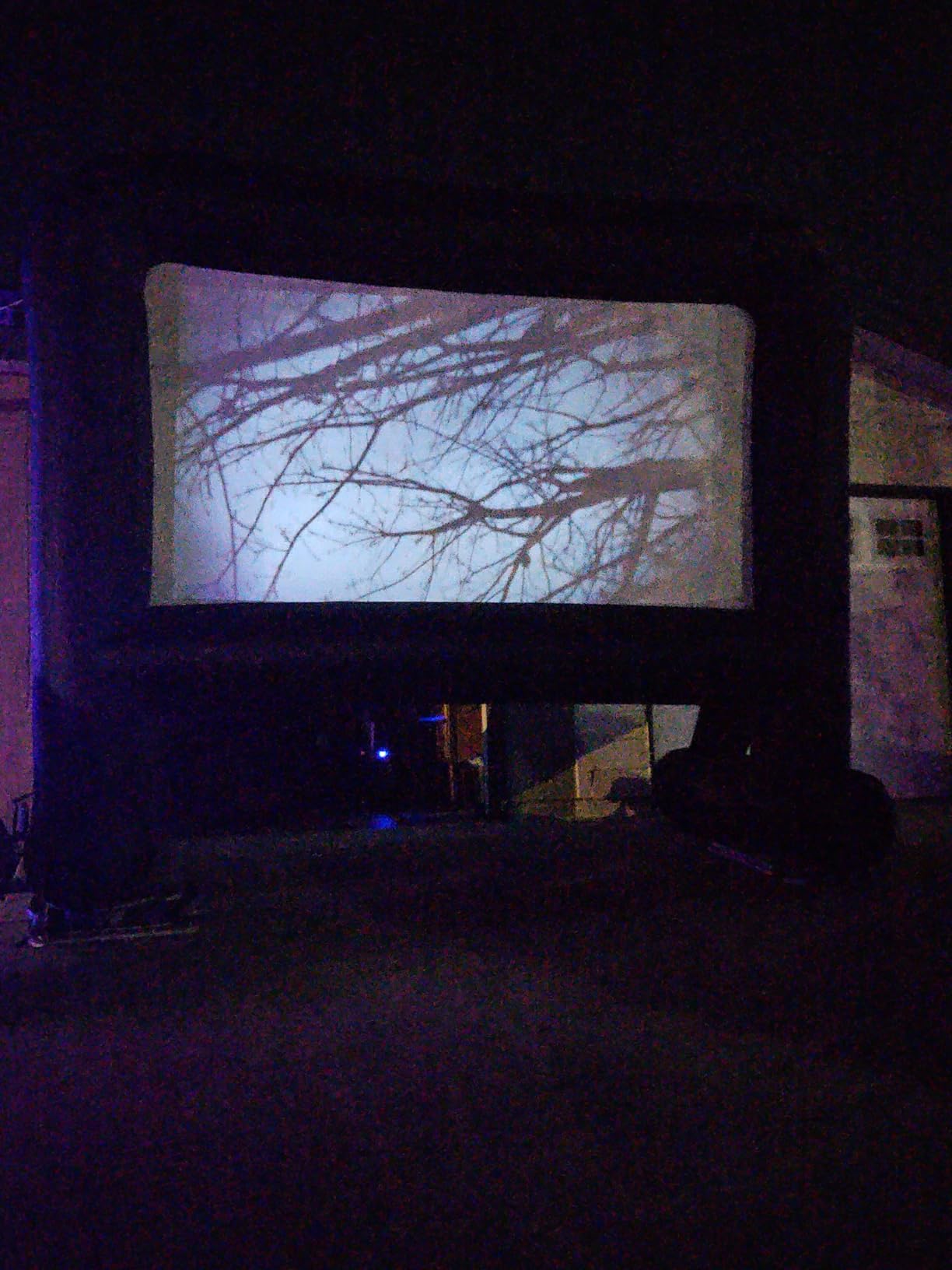 Inflatable Movie Screen Outdoor, OUTTOY Inflatable Projection Screen 16FT | Mega Blow Up Screen for Backyard Movie Night, Theme Parties, Celebrations, Quiet Fan, Storage Bag, Easy Set up customer photo 1
