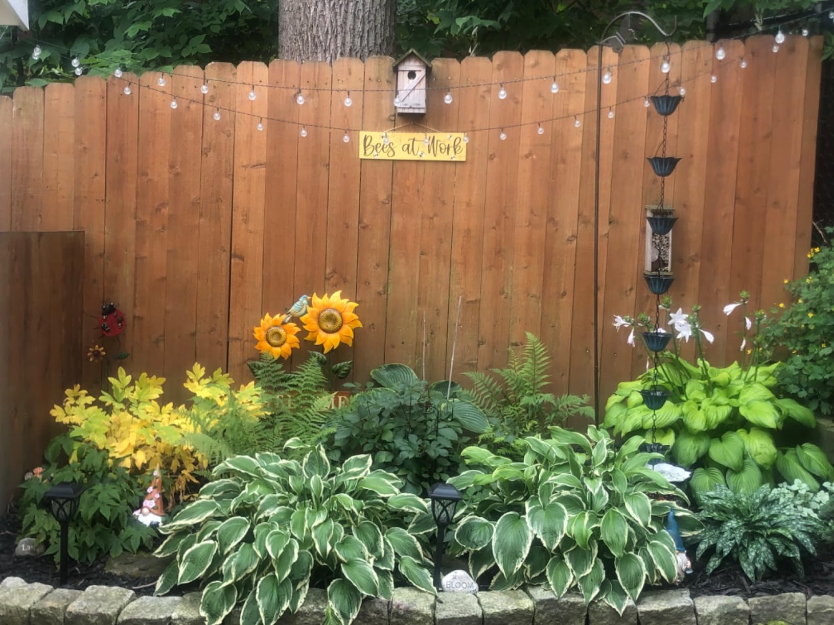 8.5FT Butterfly Iron Rain Chain for Gutters and Rain Barrel+Adapter, Bronze customer photo 1