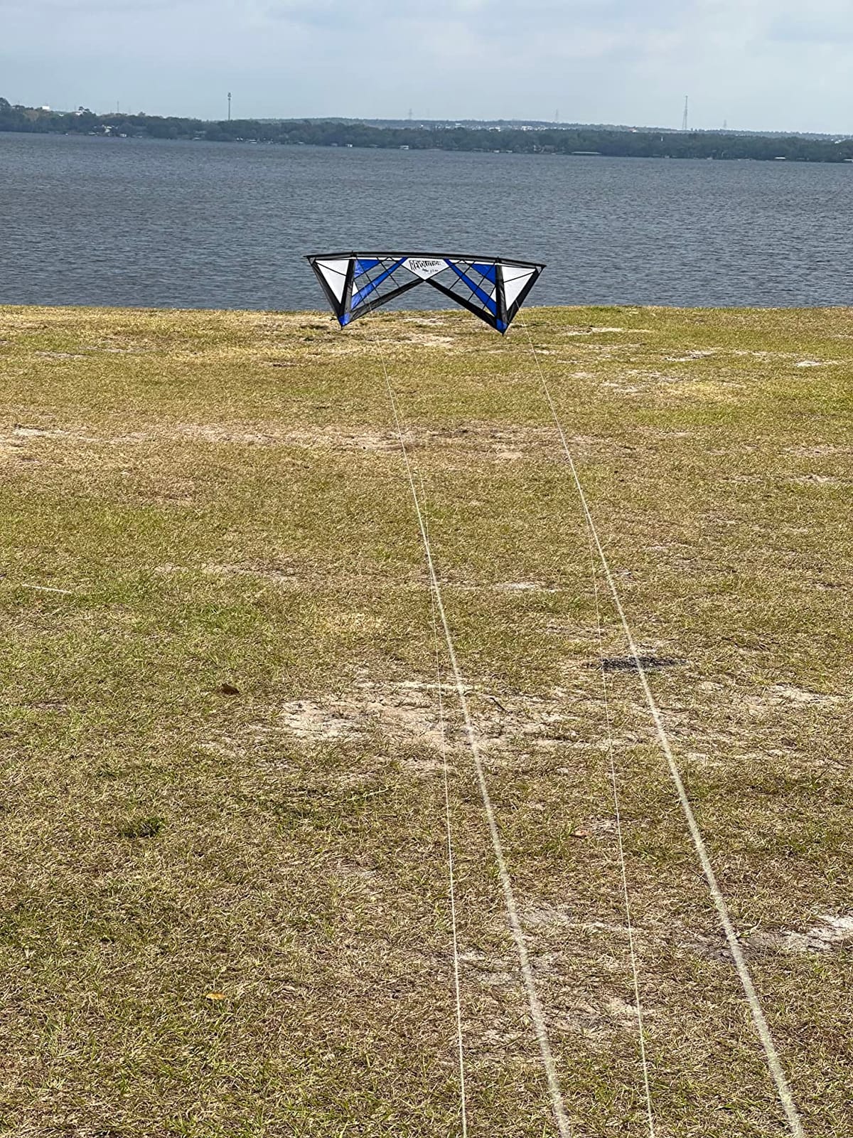 Revolution Kites Reflex RX Spider Kite (Vented Model) - with Handles/Line Set customer photo 1