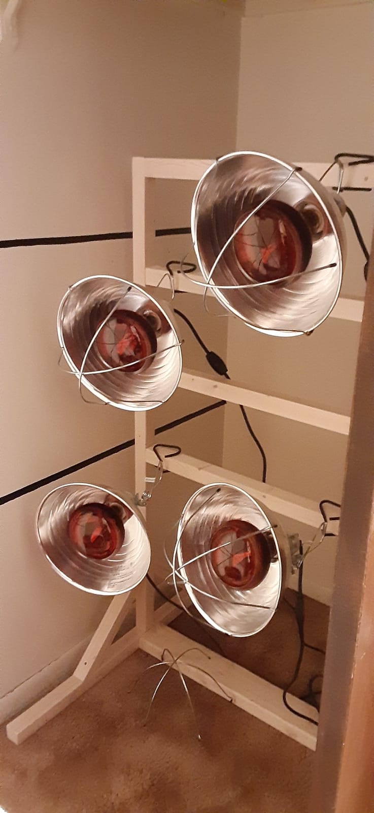 RubyLux NIR-A Near Infrared Bulb Grade A (2 Pack) customer photo 2