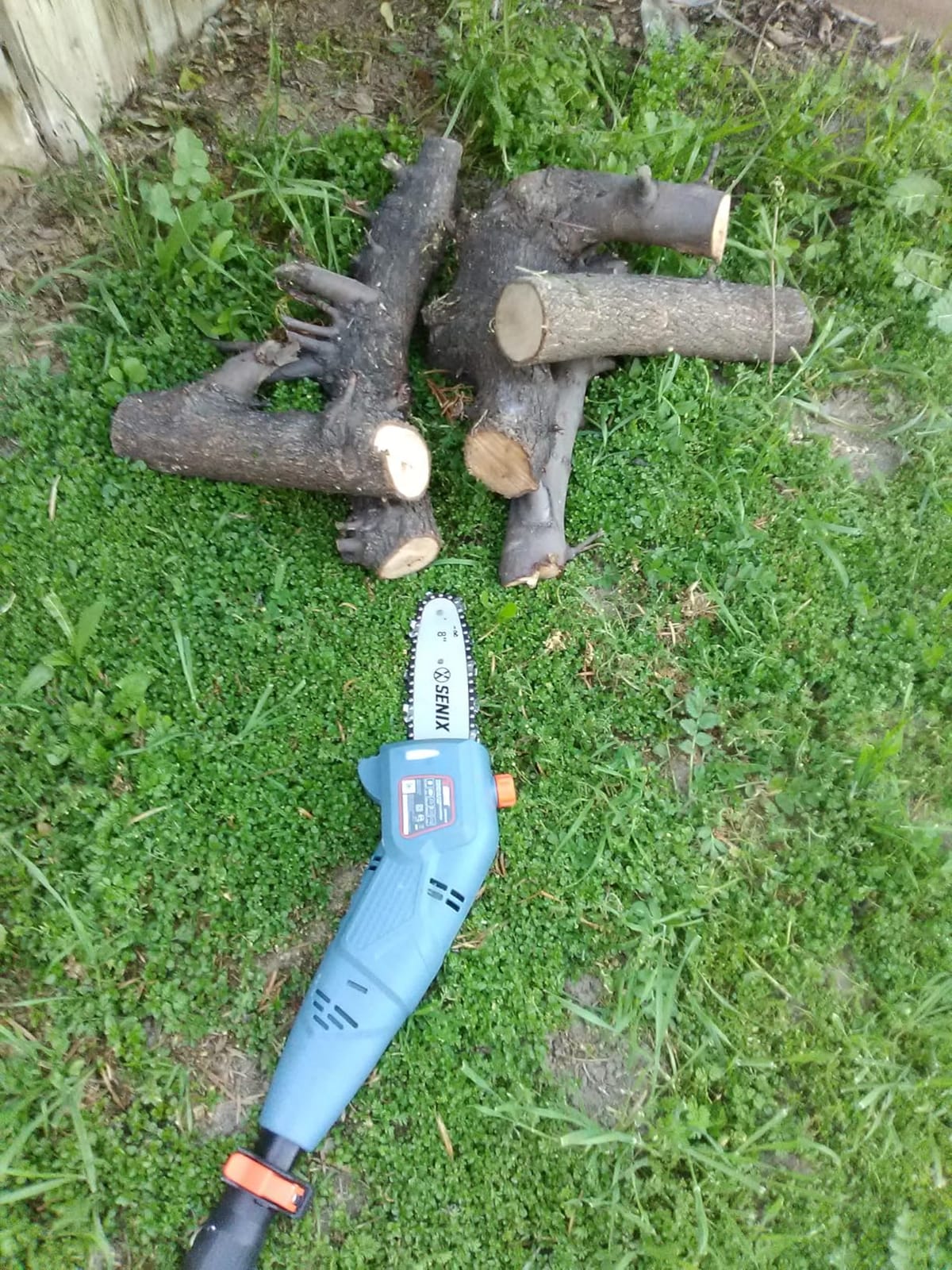 SENIX CSPE6.5-M 6.5 Amp Corded Electric Pole Saw with 8-Inch Bar and Chain, Chain Saw Tree Trimmer with Adjustable Extension Pole, Shoulder Strap Included customer photo 1