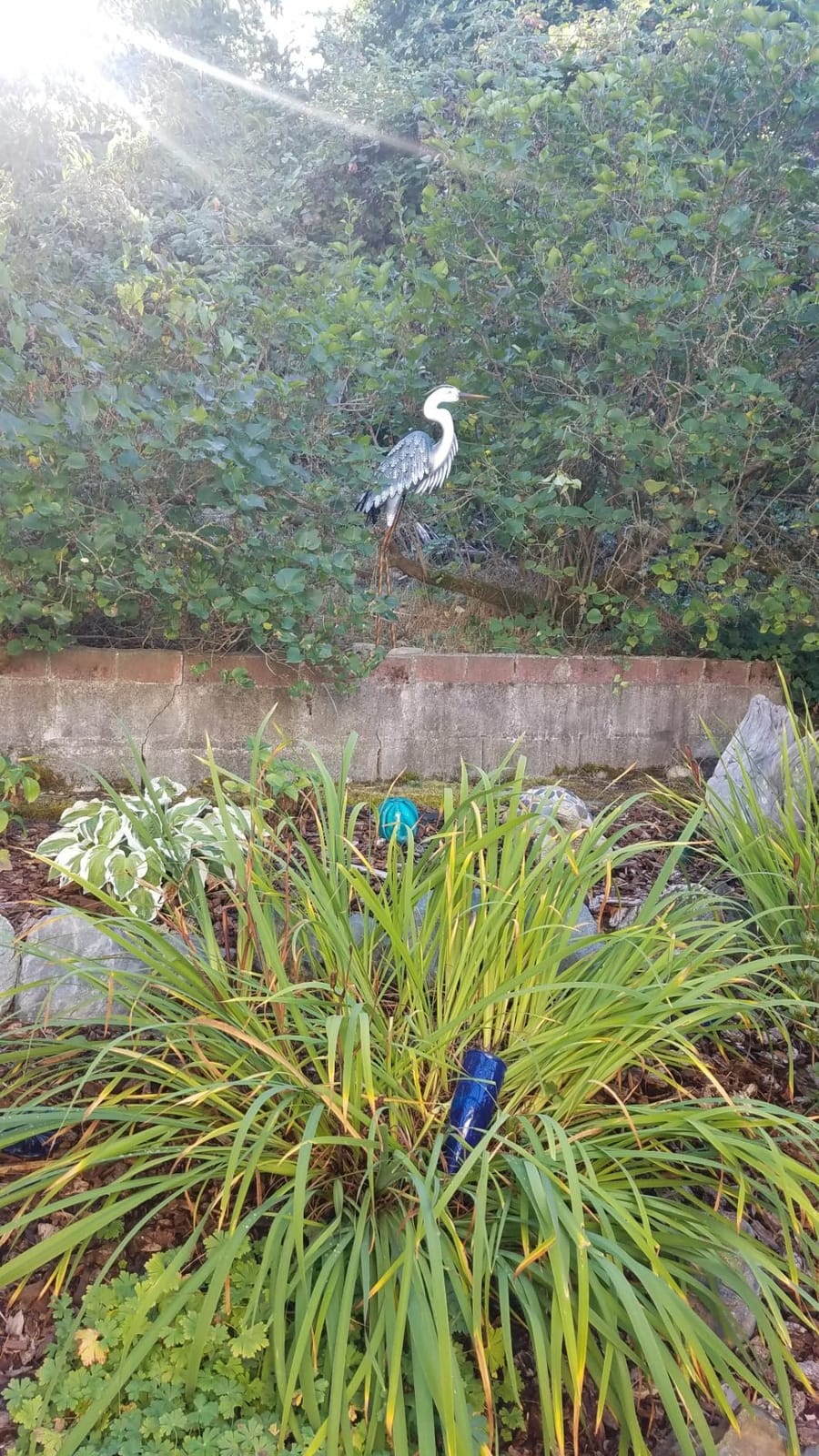 Regal Art & Gift Heron Metal Statue, Indoor & Outdoor Garden Yard Art Decor | Copper Patina, 44 in, Metal, Decorative Heron Sculpture, Weather-Resistant Yard Art for Patio, Lawn & Home customer photo 1