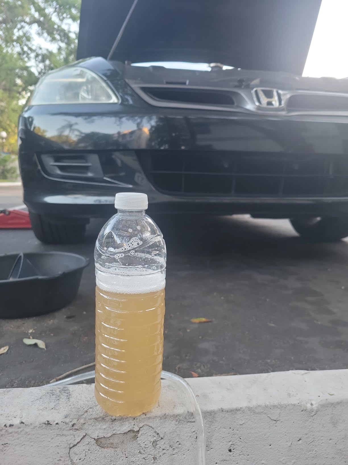 Toyota Genuine Parts - Ac Refresher Kit (00289-ACRKT) customer photo 2