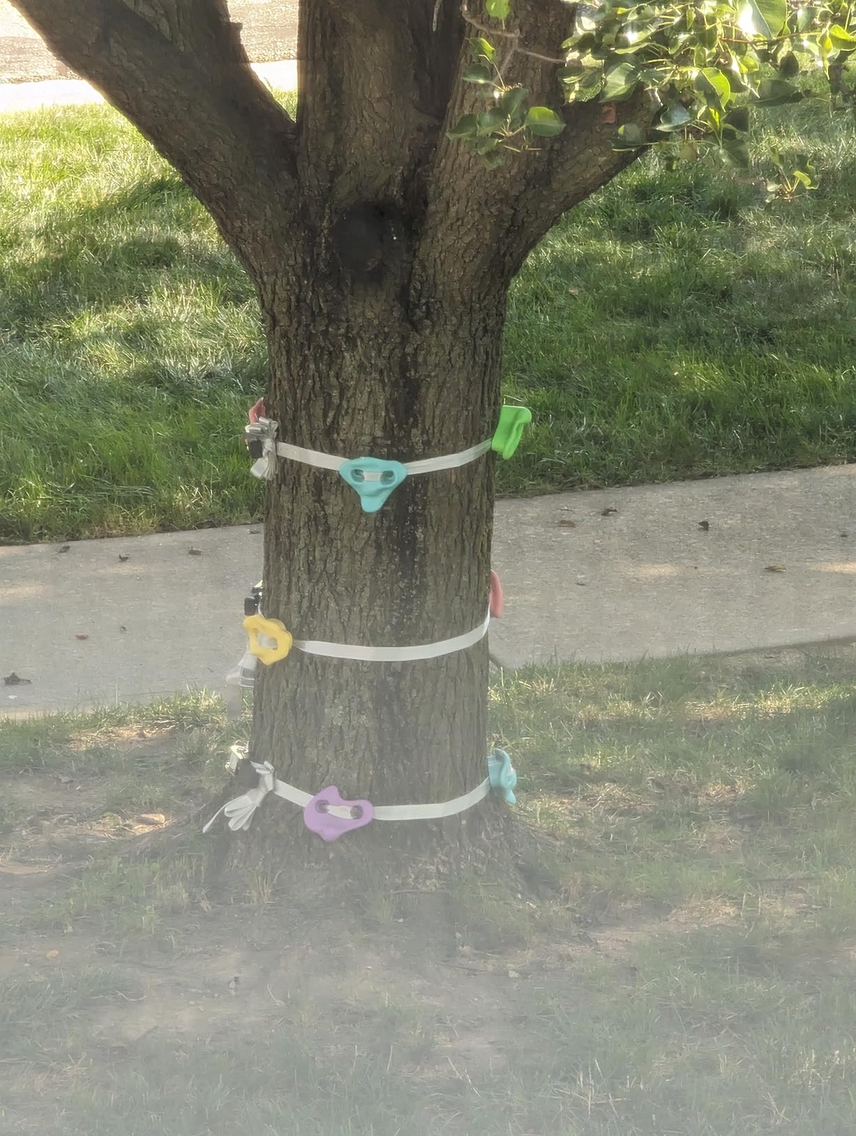 TOPNEW 12 Ninja Tree Climbing Holds for Kids Climber, Adult Climbing Rocks with 6 Ratchet Straps for Outdoor Ninja Warrior Obstacle Course Training customer photo 1
