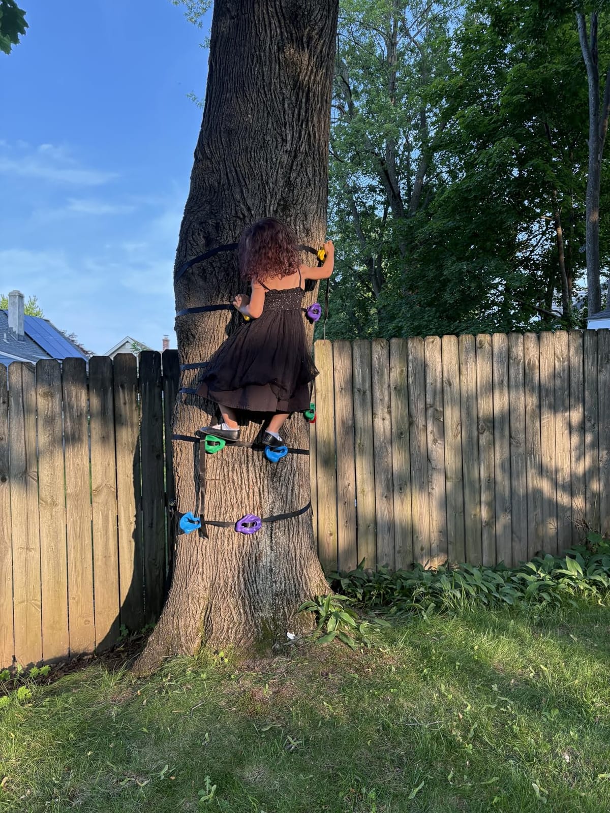 TOPNEW 12 Ninja Tree Climbing Holds for Kids Climber, Adult Climbing Rocks with 6 Ratchet Straps for Outdoor Ninja Warrior Obstacle Course Training customer photo 2