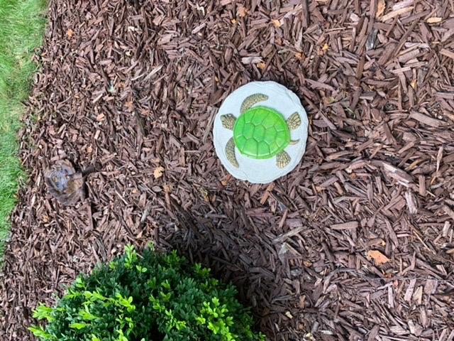 Spoontiques -Garden Décor - Raised Frog Stepping Stone - Decorative Stone for Garden customer photo 2
