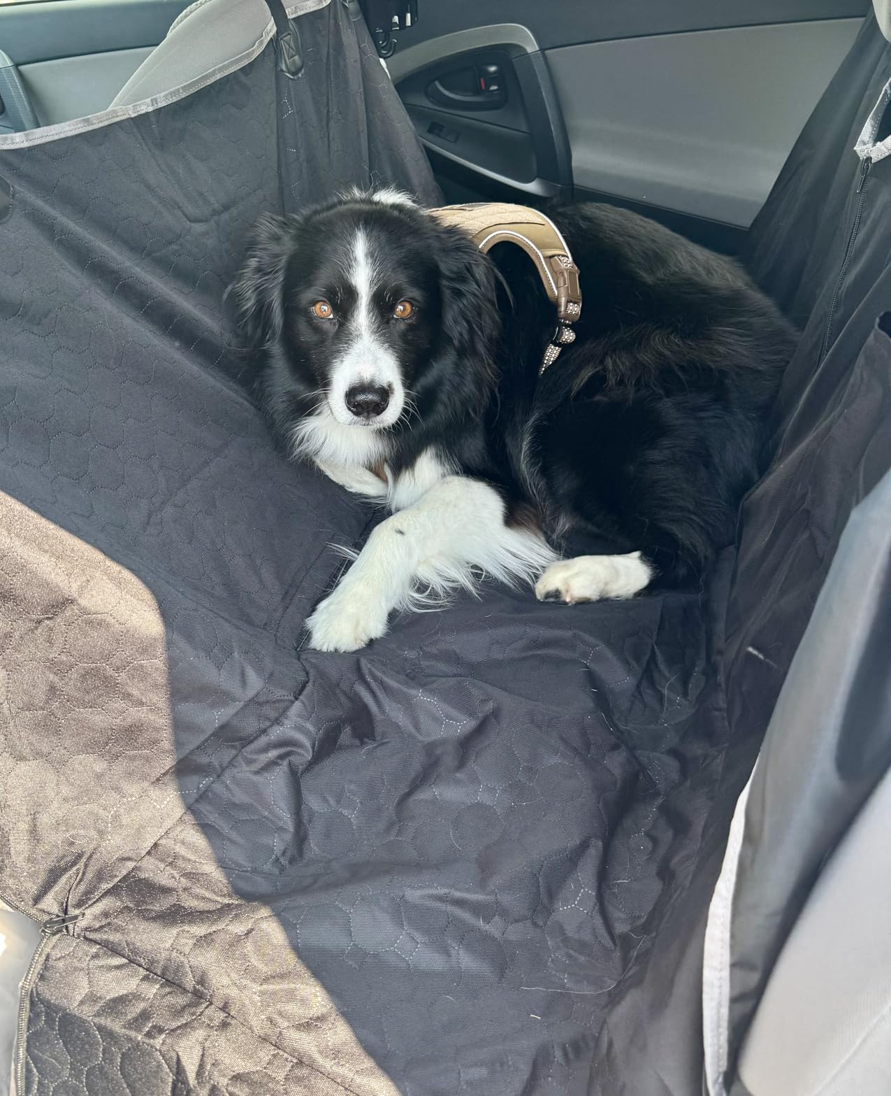 Mancro Dog Car Seat Cover for Back Seat, Waterproof Dog Hammock for Car | 600D Heavy Duty, Scratch-Resistant Back Seat Pet Cover for Dogs with PVE Nonslip Underside, Fits for Sedan, Trucks and SUVs customer photo 1