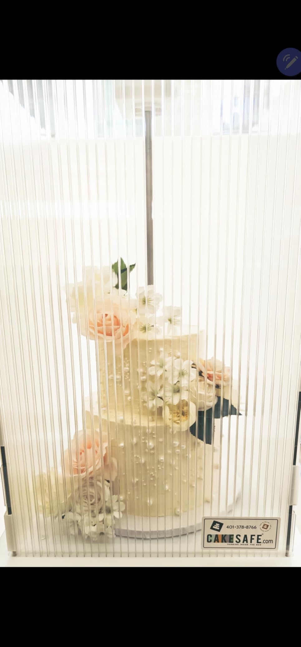 CAKESAFE Reusable Medium Cake Transporter, Clear Plastic Cake Carrier (20