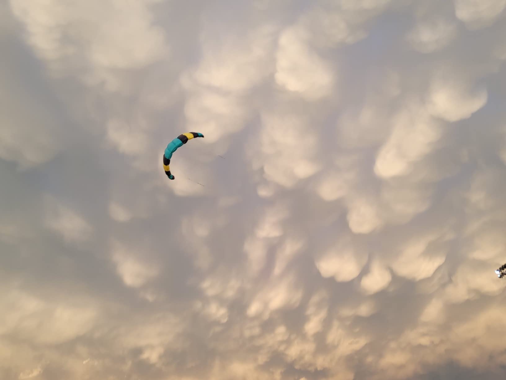 HQ Symphony Beach III 1.8 Stunt Kite, Dual Line Foil Sport Kite customer photo 2