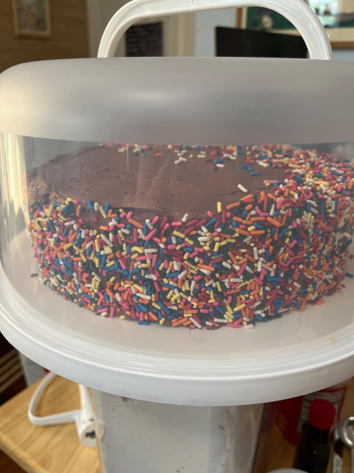 Top Shelf Elements Round Cake Carrier Two Sided Cake Holder Serves as Five Section Serving Tray, Portable Cake Stand Fits 10 inch Cake, Cake Box Comes With Handle, Cake Container Holds Pies (White) customer photo 1