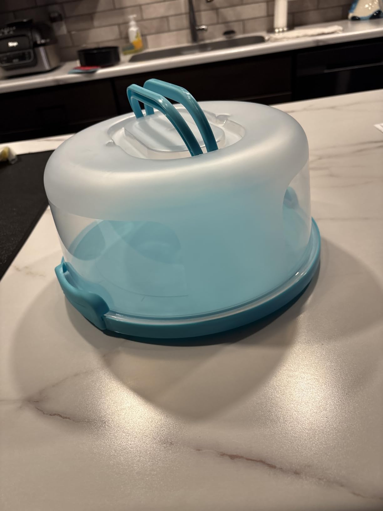 Top Shelf Elements Round Cake Carrier Two Sided Cake Holder Serves as Five Section Serving Tray, Portable Cake Stand Fits 10 inch Cake, Cake Box Comes With Handle, Cake Container Holds Pies (White) customer photo 2