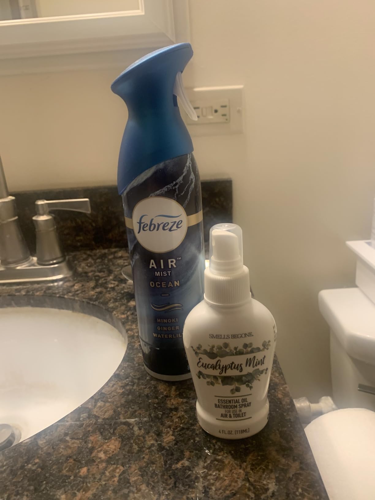 SMELLS BEGONE 4 oz Essential Oil Bathroom Spray - Instantly Eliminate Toilet & Bathroom Odors - Air Freshener Made with Essential Oils (Eucalyptus Mint) customer photo 1