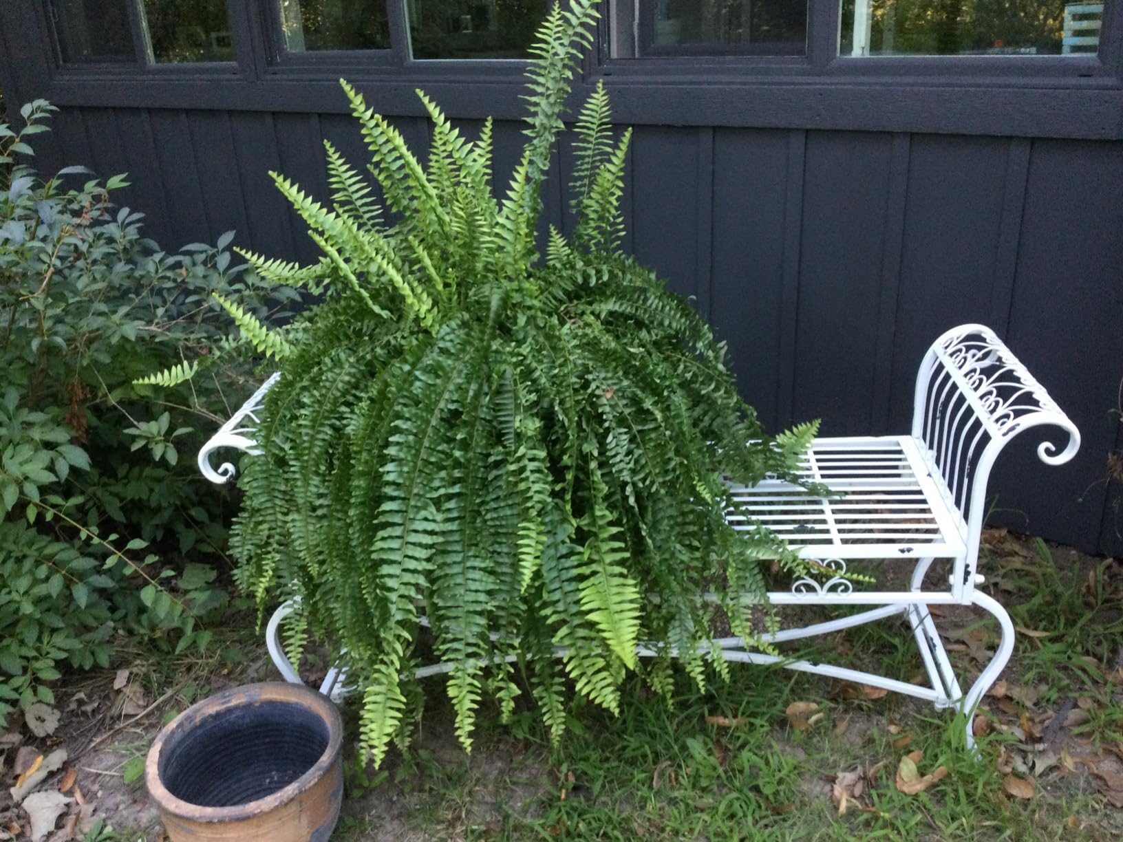 SAFAVIEH Outdoor - Brielle Iron Garden Bench - Mossy Blue - Vintage Ornate Scrollwork Design customer photo 2