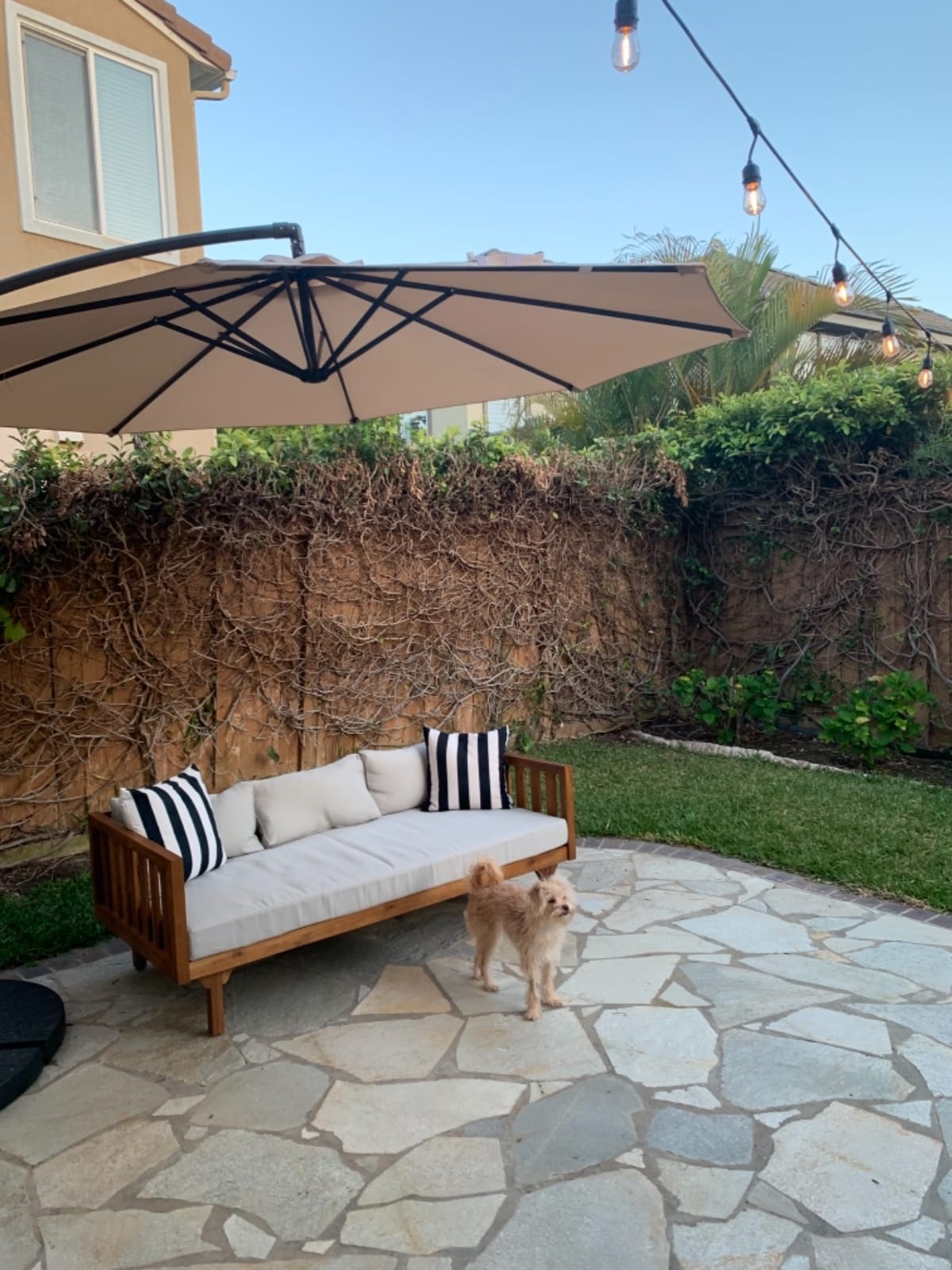Christopher Knight Home Tina Outdoor 3 Seater Acacia Wood Daybed, Teak Finish, Light Grey customer photo 1