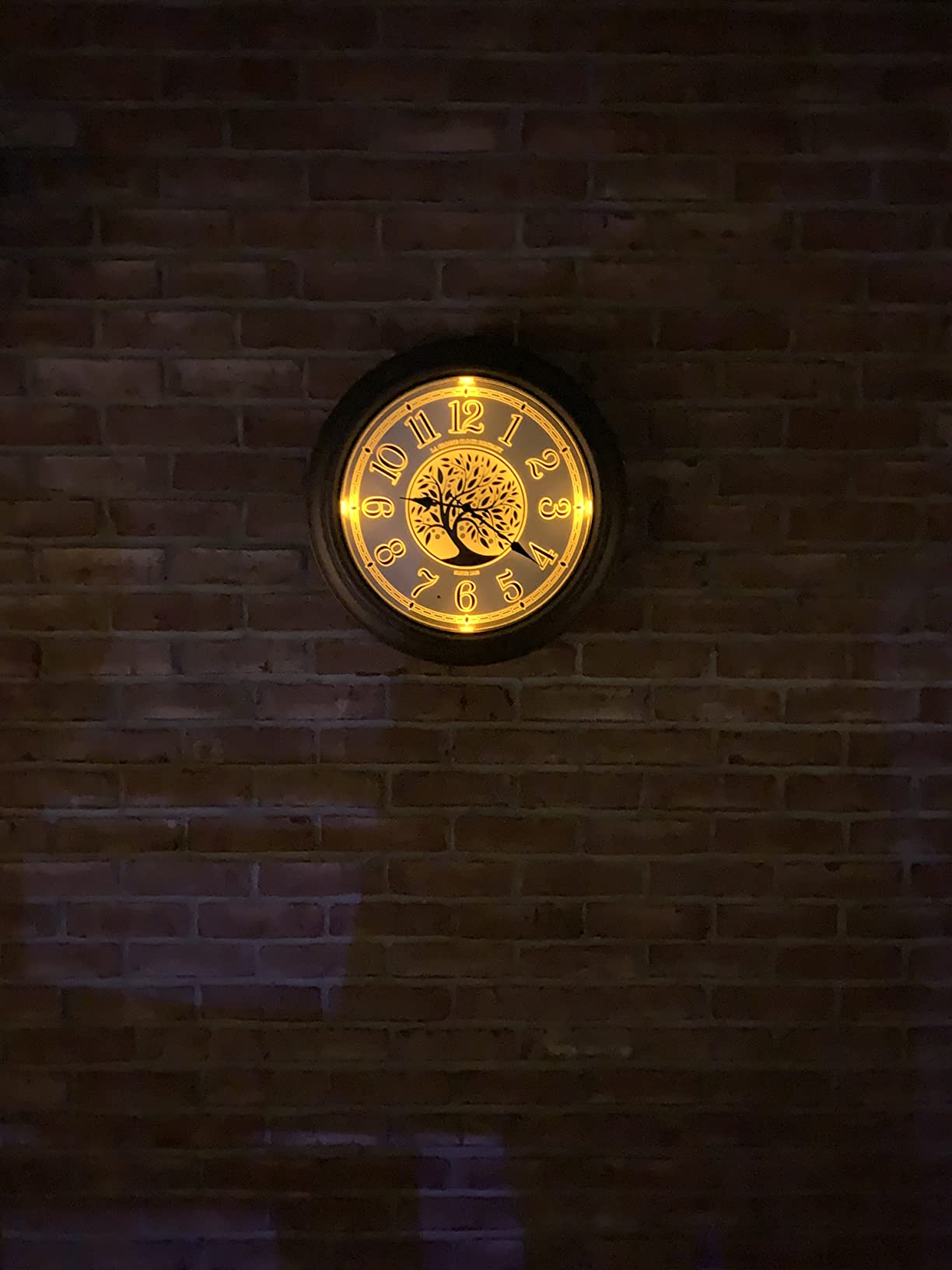 La Crosse Technology Indoor/Outdoor Lighted Dial Analog Quartz Wall Clock, 18