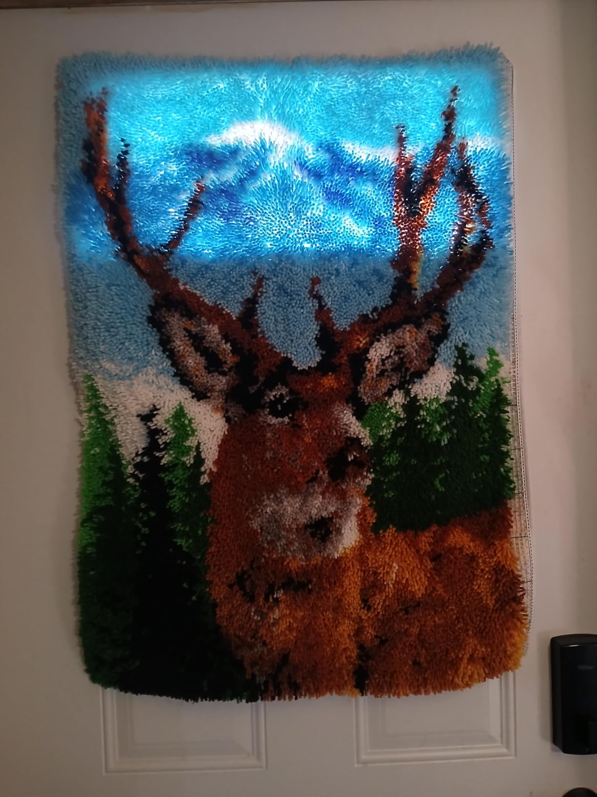 ZFFLYH Latch Hook Kits Rug, Cardinal Crocheting Carpet Rug with Printed Canvas for Adults Beginners, 20.5X15 Inch customer photo 1