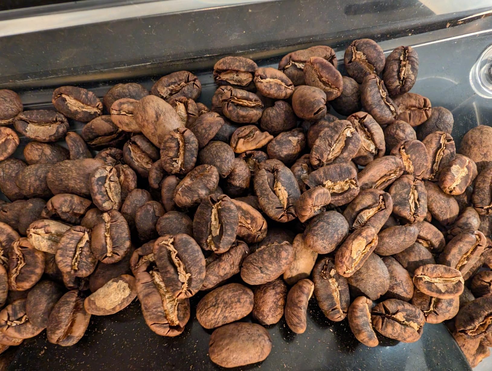 Fresh Roasted Coffee, Adventurer Unroasted Green Coffee Beans Home Roasting Starter Kit, Variety 4-Pack, Kosher, 4 lb (Four 1 lb Bags) customer photo 1