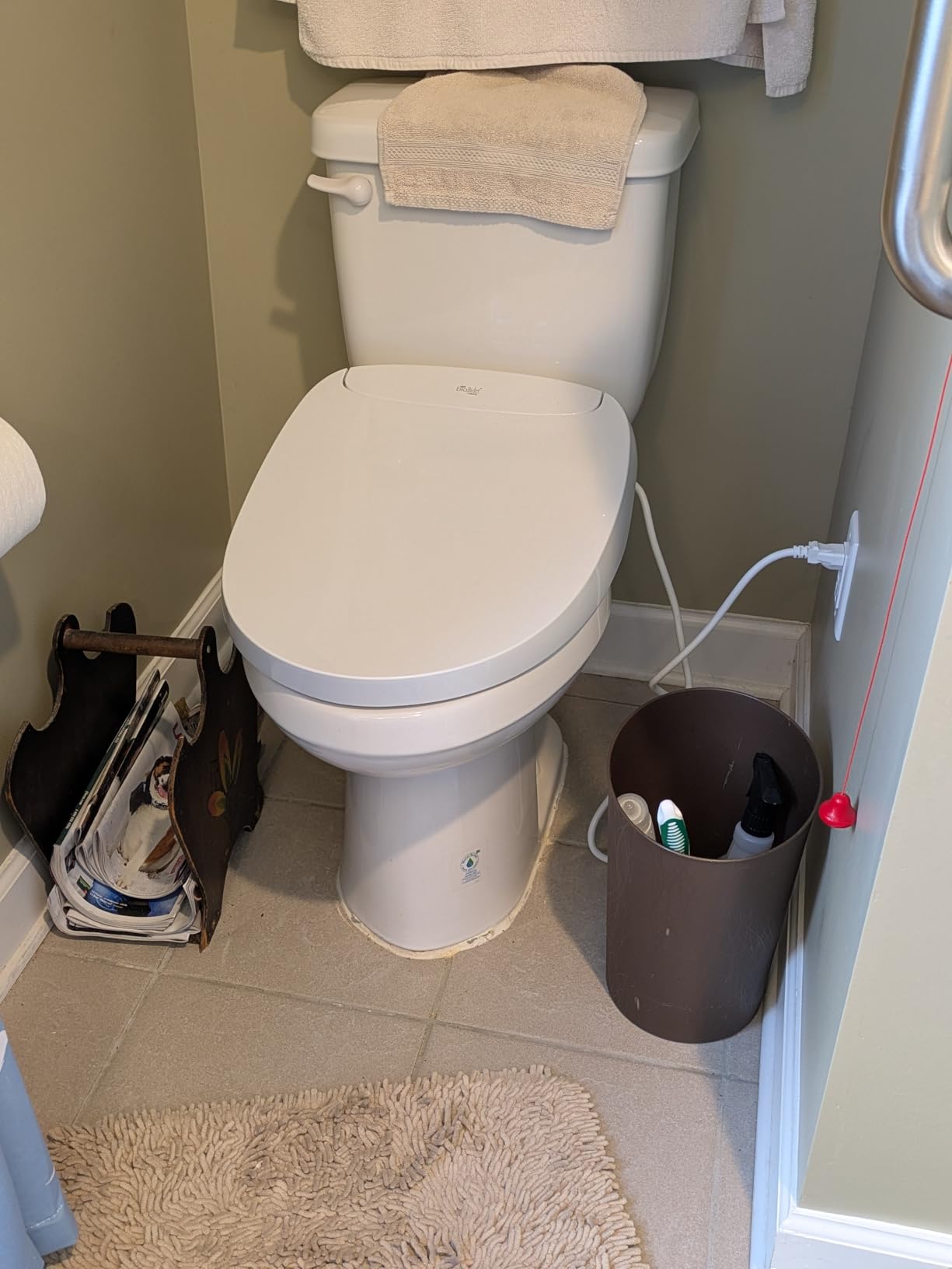 Bio Bidet DLS Premium Heated Bidet Seat, Warm Water & Air Dryer, Auto Open and Slow Close Lid, Elongated customer photo 1