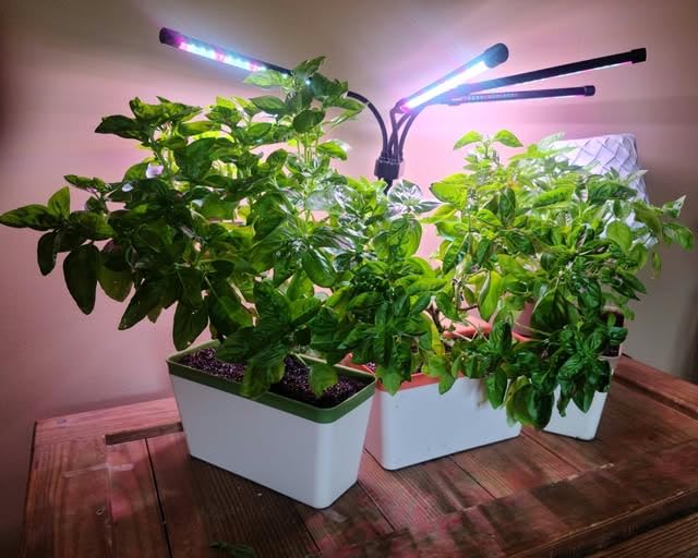 OurWarm Windowsill Herb Planter Box Indoor Set of 3, 10.5 Inch Self Watering Planter Pots with Visual Water Level Window, Modern Plastic Plant Pots for Herbs, Vegetables, Succulents Plants customer photo 1