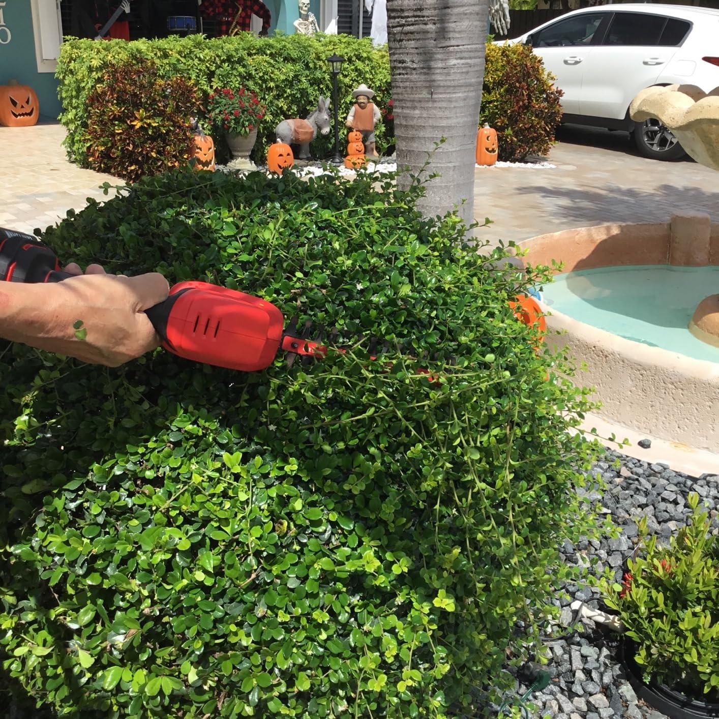 CRAFTSMAN V20 4 In. Cordless Handheld Grass Trimmer and 8 In. Mini Hedge Trimmer, Battery and Charger Included, Rechargeable 2 in 1 Grass Shear and Bush Trimmer customer photo 2