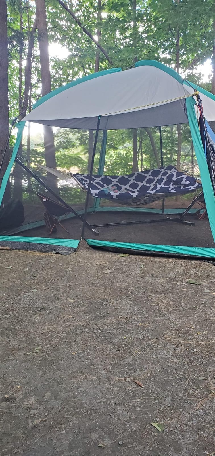 GREGIN Screen House Room 11 x 11 ft Mesh Net Tent Portable Canopy Gazebo | Easy Setup & Waterproof & Sunshade Shelter. Roomy, Sturdy. Suitable for Camping, Trip, Backyard, Outdoor, Picnic - Blue customer photo 2