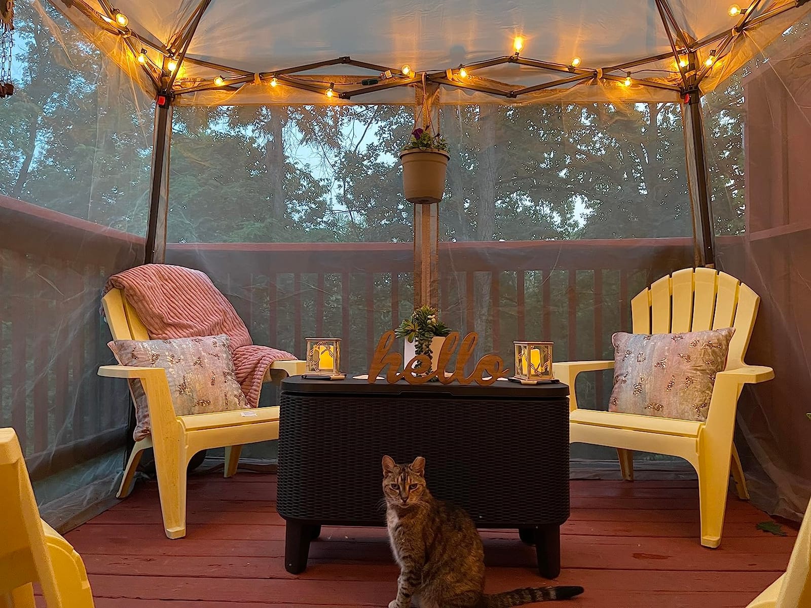 COOS BAY 10x10 Pop Up Canopy with Netting, Slant Leg Shelter, Gray | Screened Canopy Tent with Carry Bag, Outdoor Gazebo for Backyard, Patio & Party, Easy Up Canopy, UPF 50+ Sun Protection customer photo 1