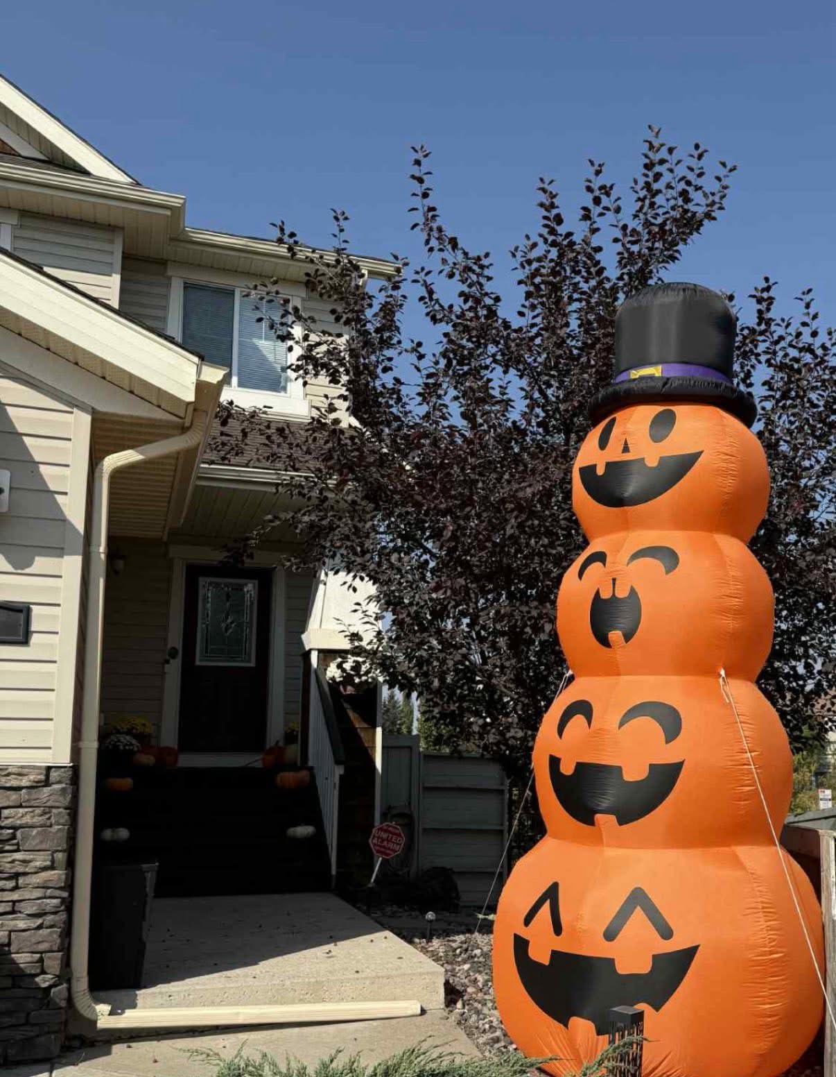 Giant Halloween Inflatables 12 FT Pumpkins Halloween Decorations Outdoor | TURNMEON Stacked Pumpkins with Witch Hat LED Lights Blow Up Halloween Decor Yard Lawn Party (Stakes Tethers Weight Bags) customer photo 1