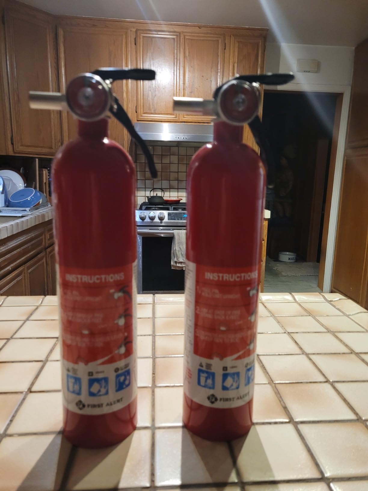 First Alert Home1-2, Standard Home Fire Extinguisher, Red, 2PACK | HOME1 UL RATED 1-A:10-B:C, Red, 2-Pack customer photo 1