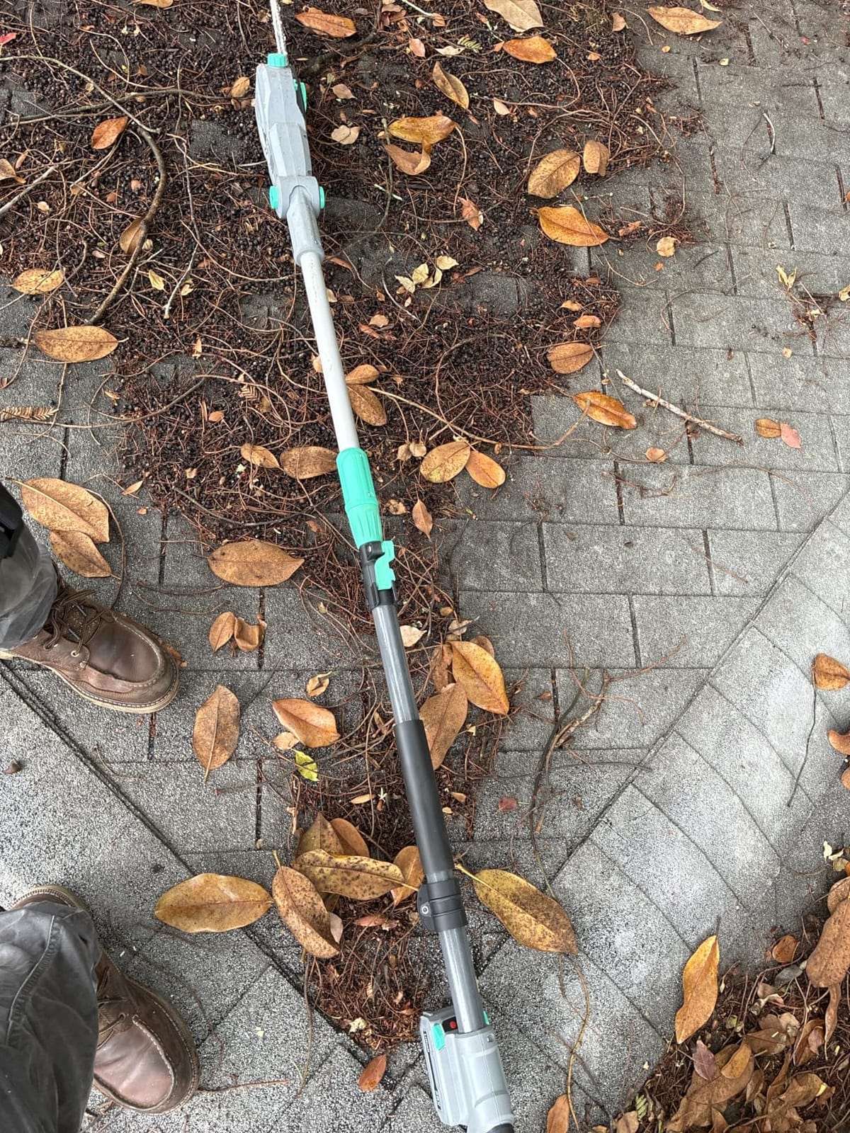 Litheli Cordless Pole Saw, 10-Inch 40V Pole Saws for Tree Trimming, Electric Tree Saw for Branch Cutting, Pruning, 2.5Ah Battery & Charger Included customer photo 2