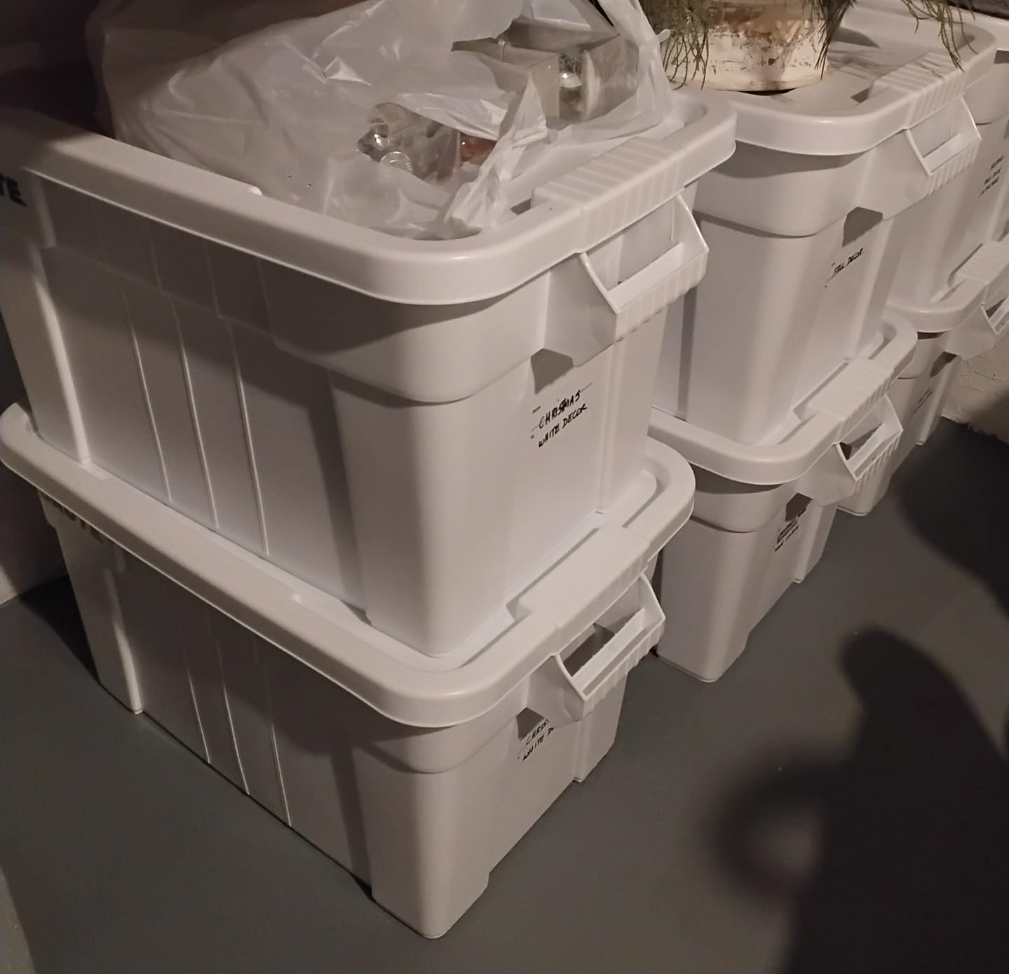 Rubbermaid Commercial Products Brute Tote Storage Container with Lids-Included 20-Gallon Gray Rugged/Reusable Boxes for Moving/Storing in Garage/Basement/Attic/Jobsite/Truck/Camping 2 Pack customer photo 1