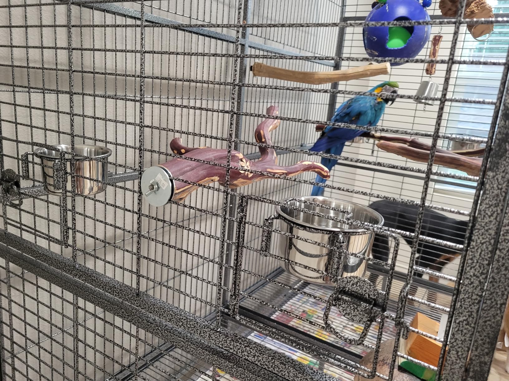 Double Cage with Center Divider for Bird Parrot Aviary W64xD32xH73 New customer photo 2