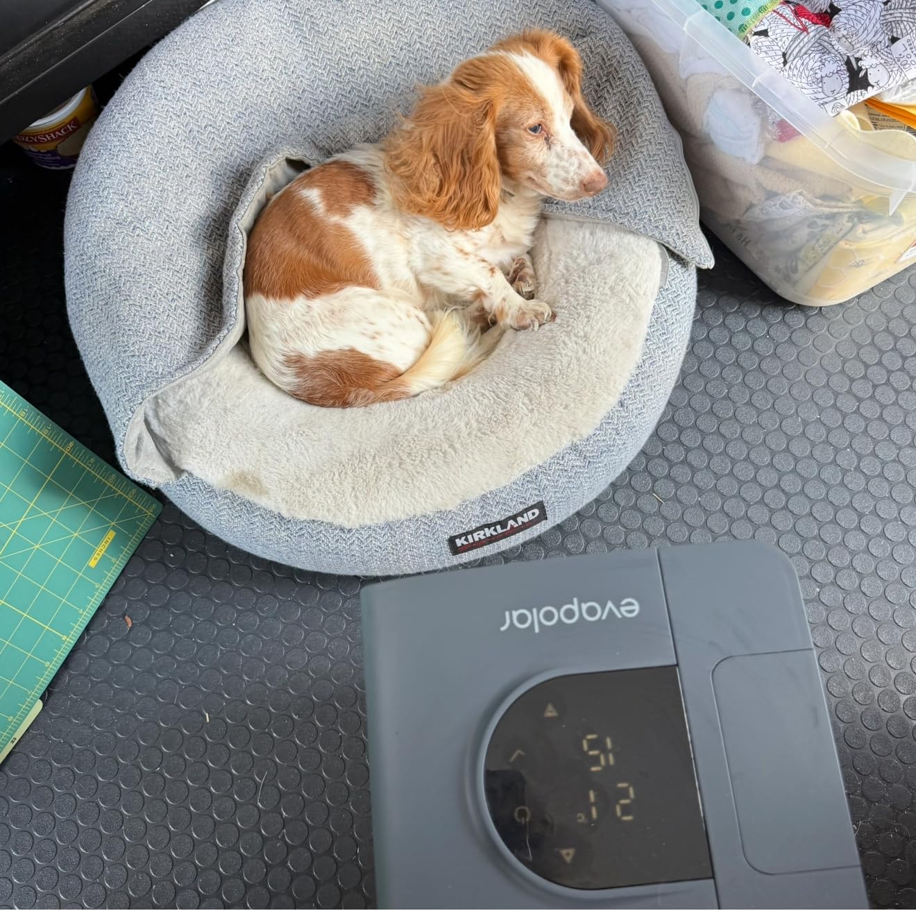 Evapolar evaSMART Cooling Fan for Desk and Camping - Portable Air Conditioners - Small Ice Fan for Tent - Mini Swamp Cooler - Evaporative Air Cooler, Grey customer photo 2