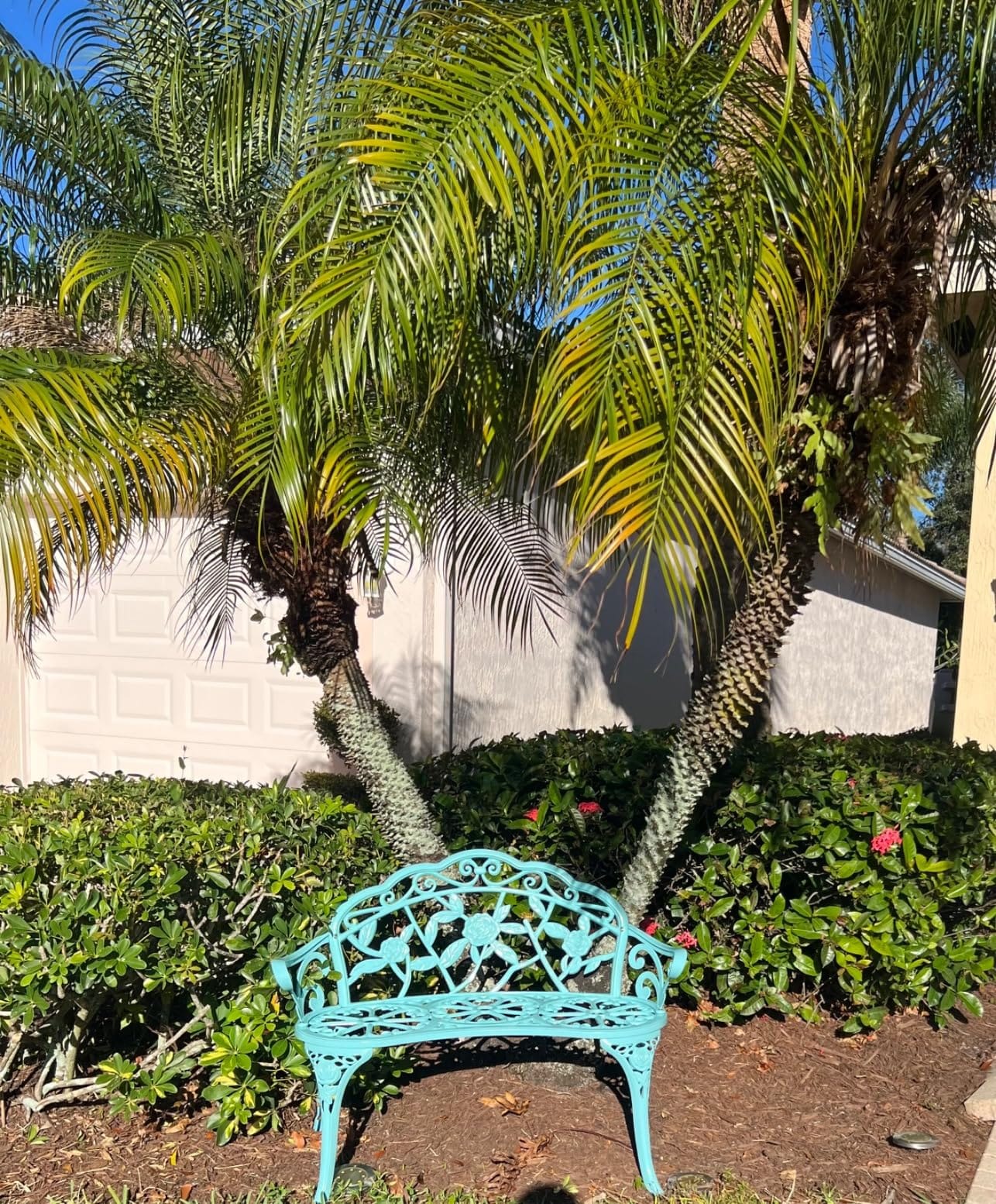 KAILI Garden Bench, Metal Aluminum Rose, Suitable for Garden Porch Park Front Porch Balcony Outdoor (Bronzed) customer photo 1