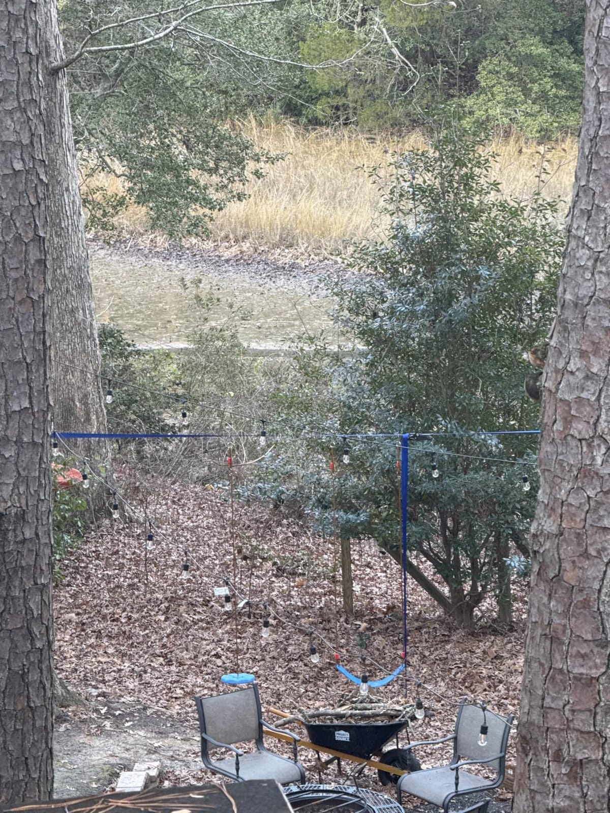 Ninja Warrior Obstacle Course for Kids Backyard-65ft Slackline Kit with 13 Obstacles, Upgraded Quick-Install Buckles No Threading, Install Anywhere, Easy Setup Backyard Playground Set customer photo 1