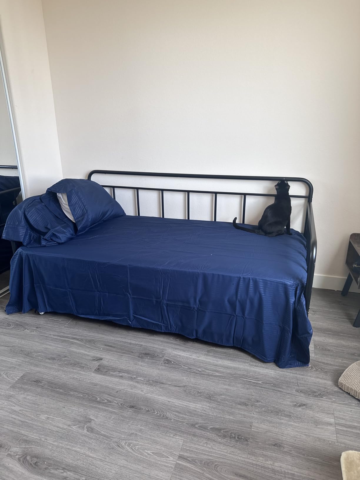 Amazon Basics Full Size Daybed and Twin Size Trundle Bed Frame Set, Space Saving Steel Slat Support, Sturdy Metal Design, Easy Assembly, Black customer photo 1