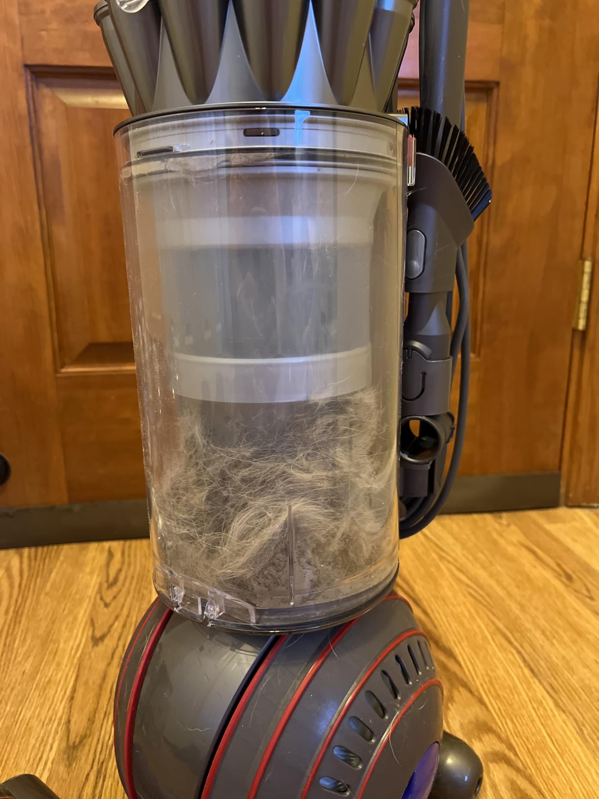 Dyson Ball Animal 3 Upright Vacuum, Corded, 290AW, De-tangling Motorbar Cleaner Head for All Floors, 3 Suction Modes customer photo 1