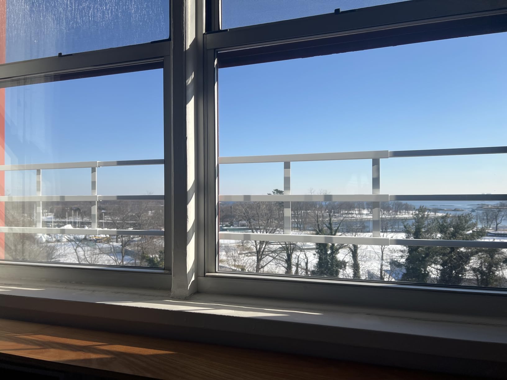 Fixed Window Safety Guard 14