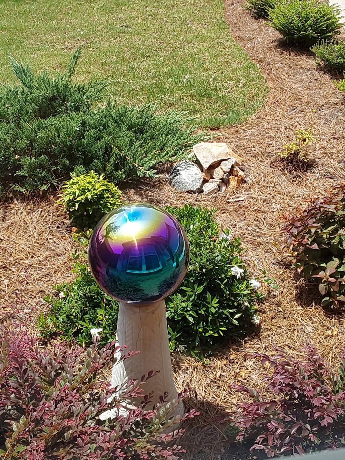 Lulu Decor, Size 16 Silver Stainless Steel Gazing Mirror Ball, Smooth Reflective Shiny Garden Decoration Globe customer photo 1
