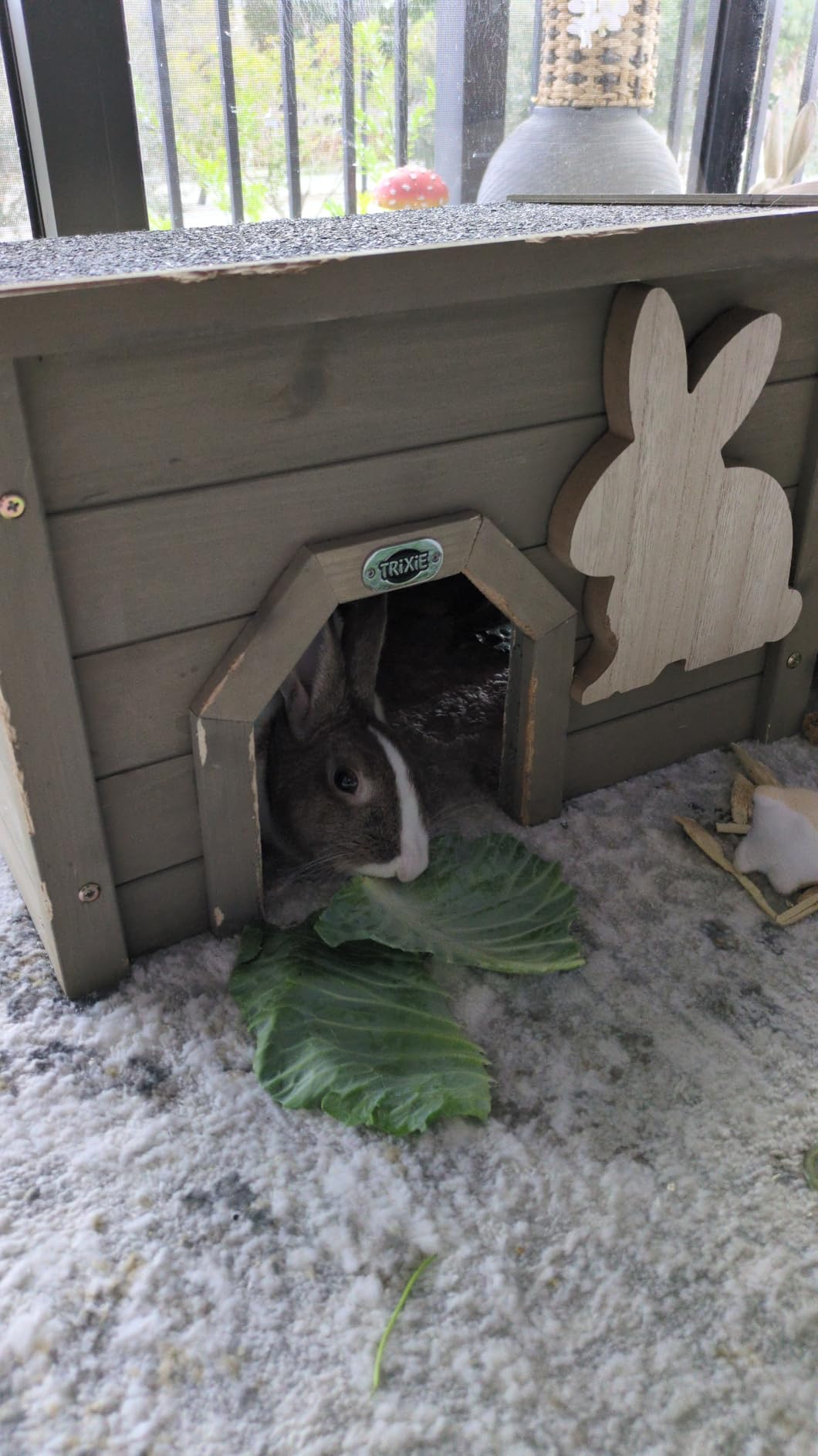 TRIXIE Indoor & Outdoor Small Animal Hideout Shelter for Rabbits and Guinea Pigs, Weatherproof Hide House with Two Entrances, Easy Assembly, Animal-Safe Design customer photo 1