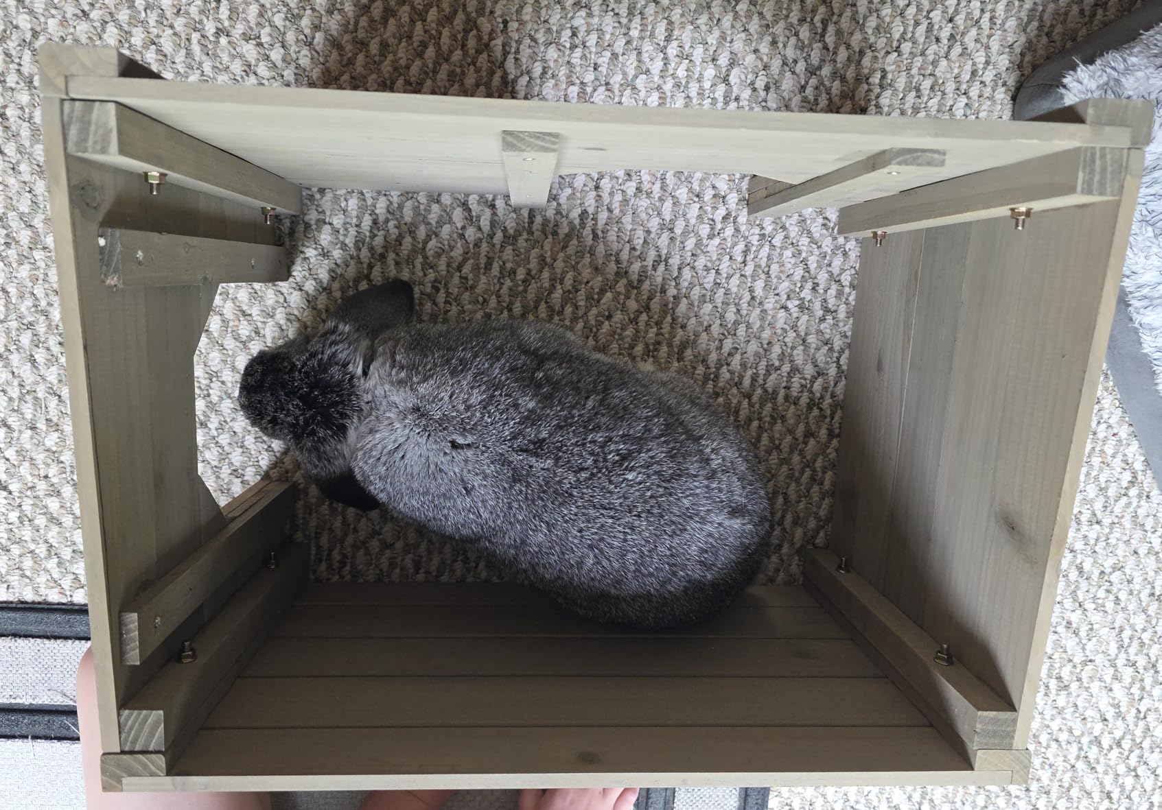 TRIXIE Indoor & Outdoor Small Animal Hideout Shelter for Rabbits and Guinea Pigs, Weatherproof Hide House with Two Entrances, Easy Assembly, Animal-Safe Design customer photo 2