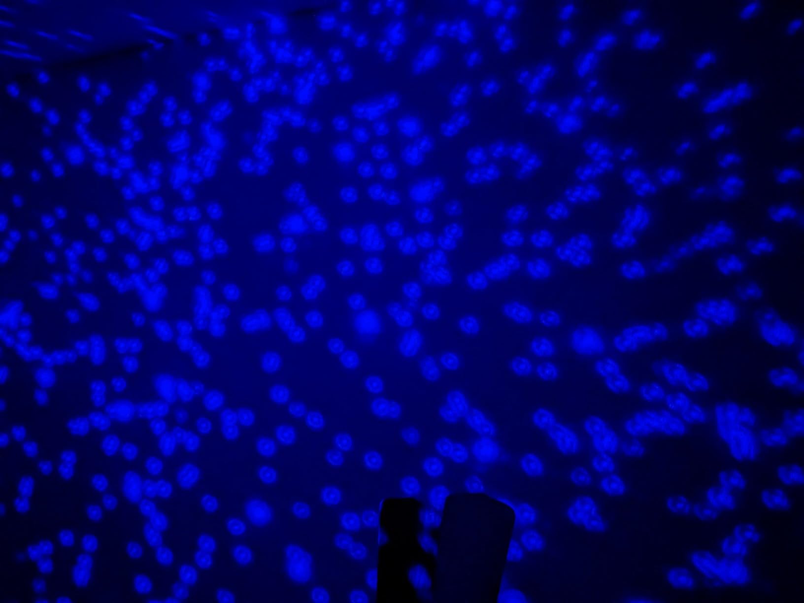 Thames & Kosmos Planetarium Projector Essential STEM Tool | Dual Projector Casts Star Maps & Space-Themed Images from the James Webb Space Telescope customer photo 1