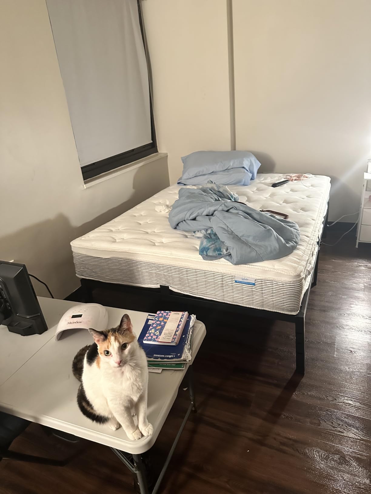 ROIL 14 Inch Metal Queen Bed Frame with Rounded Corner and Headboard Hole Mattress Retainers 3500LBS Heavy Duty Steel Slats No Box Spring Needed Platform Noise-Free Easy Assembly customer photo 2