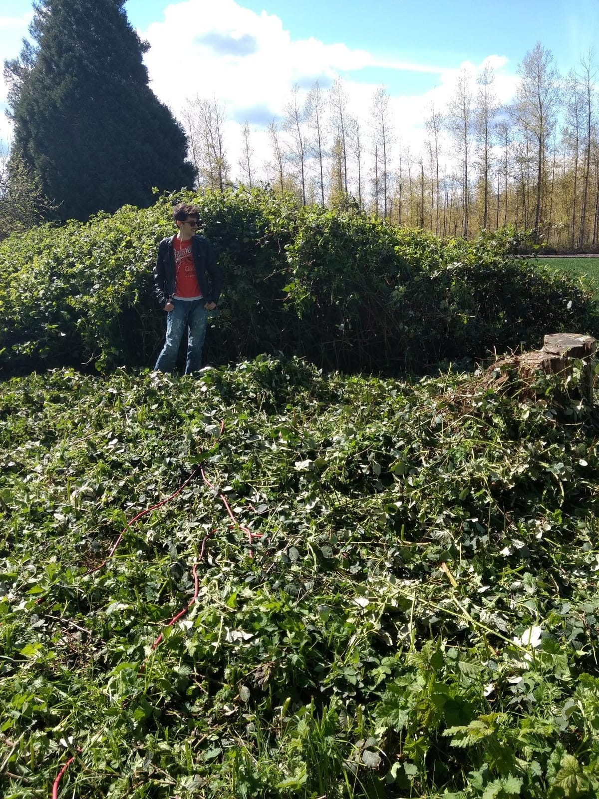 Greenworks 60V 26 in Cordless Hedge Trimmer, 2.0 Ah Battery and Charger customer photo 2
